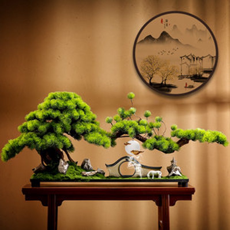 宜春黑松：城市绿色心脏的秘密